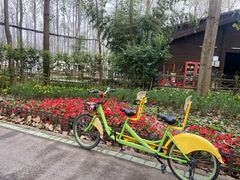 -合肥滨湖国家森林公园