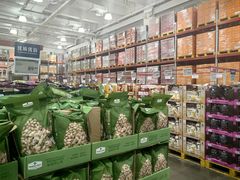 -山姆会员商店(上海浦东店)