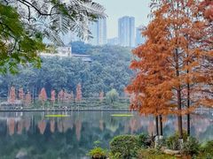 -重庆彩云湖湿地公园