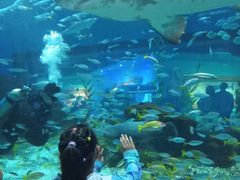 -海合安武汉极地海洋公园