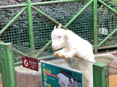 -杭州野生动物世界