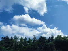 -马栏河运动公园