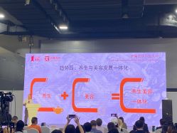 -凡碧诗毛孔清洁收细