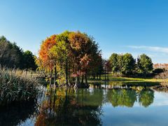 -贡湖湾湿地公园