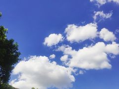 -咕叽咕叽自助烤肉小火锅(西城广场购物中心店)