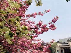-秦始皇帝陵博物院-丽山园