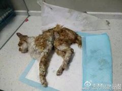 盛京一禾-盛京一禾