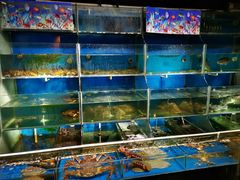 -欣旺·迎宾楼·百年无锡菜