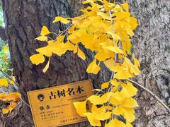 -无锡惠山寺