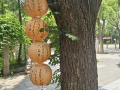 -西安关中民俗艺术博物院