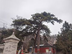 -阳台山自然风景区
