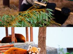 -杭州野生动物世界