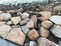 -深圳湾公园(南山区)