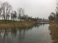 -水月周庄铂尔曼酒店 · 漾全日餐厅