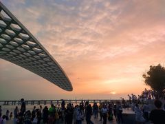 -宝安西湾红树林湿地公园