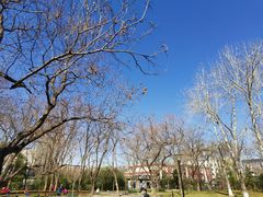 -玲珑塔公园