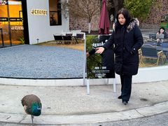 -J Create城市露营咖啡·简餐·宠物(上海动物园店)