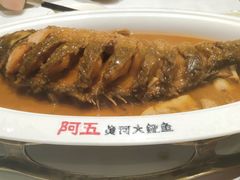 红烧黄河鲤鱼-阿五黄河大鲤鱼(海尚店)