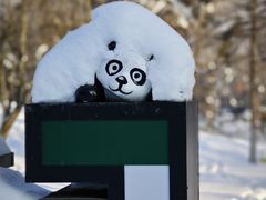 -沈阳奥体冰雪嘉年华