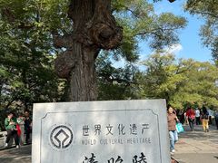 -北陵公园