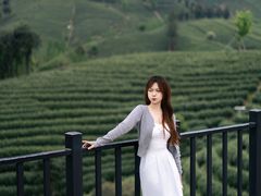 -白茶原·一片叶子