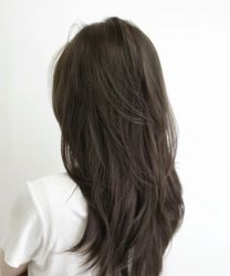 -木北造型