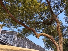 -中国美术学院象山校区-民艺博物馆