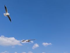-海埂大坝