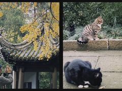 -惠山古镇·寄畅园