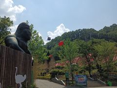 -栾川竹海野生动物园