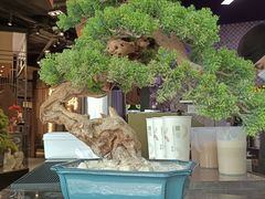 -湊湊火锅·茶憩(东城万达店)