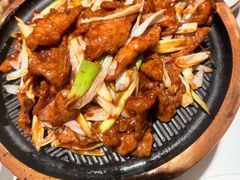 -大鸭梨烤鸭店(花园村店)