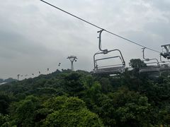 -圣淘沙天际线斜坡滑车