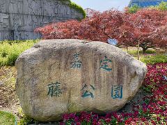 -嘉定紫藤园