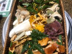 -菌歌野生菌火锅(海埂大坝店)