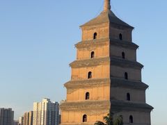 -奔跑吧陕菜·盛世长安(民乐园万达店)
