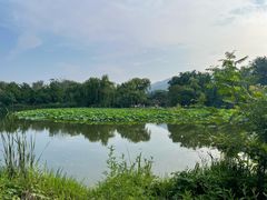 -国家植物园南园