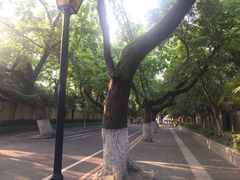 -辽宁大学(崇山校区)