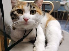 -后海16号·北京私房菜