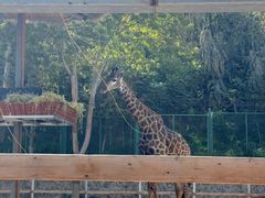 -水上乐园·欢乐世界