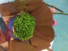 婷意花宇(静安嘉里中心店)-婷意花宇TheGracesFloral(北外滩店)