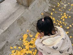 -浦江城市生活广场(江月路店)