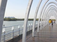 -大兴滨河森林公园