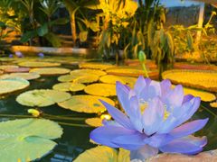 -国家植物园南园