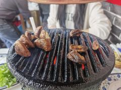 -大槐树烤肉馆