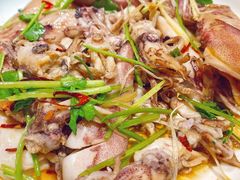 -日丰园海肠水饺·老字号大连海鲜(和平广场店)