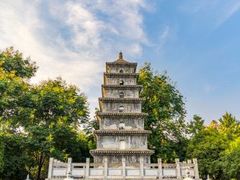 -武汉园博园(武汉自然博物馆)