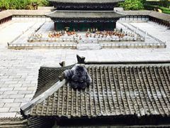 -世界之窗阿尔卑斯冰雪世界