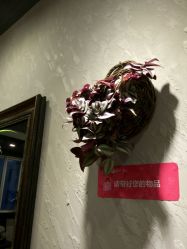 -思密达