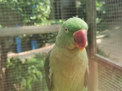 -大连森林动物园